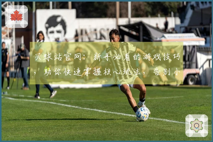 买球站官网：新手必看的游戏技巧，助你快速掌握核心玩法，告别小白阶段